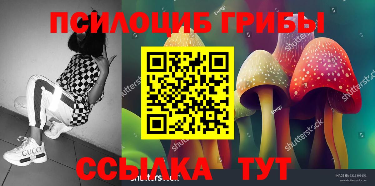 Галлюциногенные грибы Psilocybe  Вход с VPN  Славгород  дарнет шоп  Псилоцибиновые грибы Magic Shrooms 